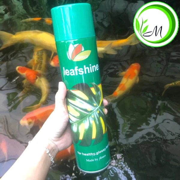 Lá lan và hồ điệp giữ ẩm lâu hơn khi xịt bóng lá đúng thời điểm, không chỉ là việc rắc nước. - Ảnh 4