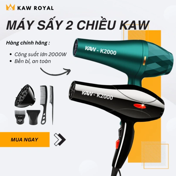 Máy sấy tóc 2 chiều nhiệt độ có thực sự bảo vệ tóc khỏi hư tổn như quảng cáo? - Ảnh 1