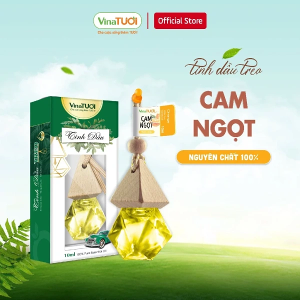 Mùi cam ngọt lan tỏa từ tinh dầu treo xe thường chỉ làm không gian dễ chịu, không thực sự giảm cảm giác say xe. - Ảnh 1 Mùi cam ngọt lan tỏa từ tinh dầu treo xe thường chỉ làm không gian dễ chịu, không thực sự giảm cảm giác say xe. - Ảnh 1