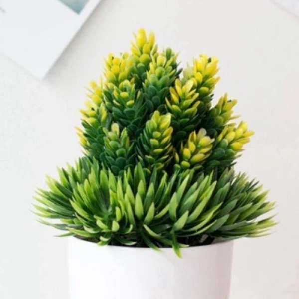 Nếu bạn mua cây dứa giả vì hy vọng mang lại may mắn, vị trí đặt bên cửa sổ lại là yếu tố quyết định cảm giác thực sự. - Ảnh 5 Nếu bạn mua cây dứa giả vì hy vọng mang lại may mắn, vị trí đặt bên cửa sổ lại là yếu tố quyết định cảm giác thực sự. - Ảnh 5