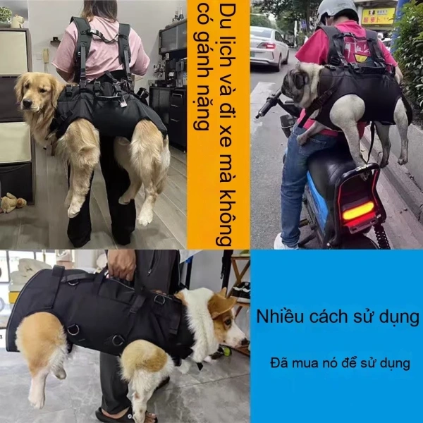 Những bất ngờ khi ba lô chó đa chức năng trở thành chiếc túi dự phòng duy nhất trong chuyến du lịch dài - Ảnh 5 Những bất ngờ khi ba lô chó đa chức năng trở thành chiếc túi dự phòng duy nhất trong chuyến du lịch dài - Ảnh 5