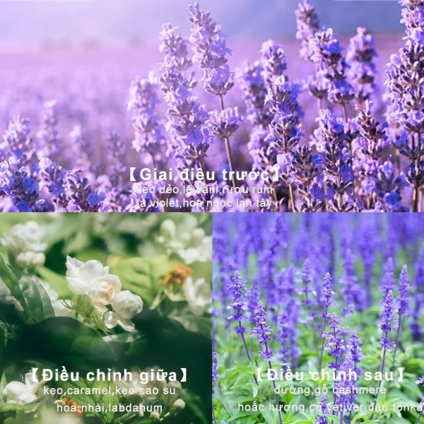 Những phản hồi thực tế thường giúp chúng ta có cái nhìn khách quan hơn về hiệu quả lưu hương. (Ảnh 5)