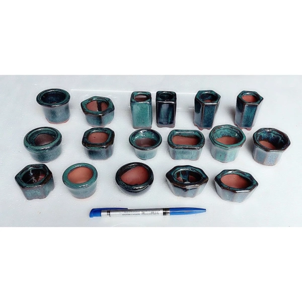 Sen đá và các loại xương rồng mini thích hợp với đất trồng phong phú nhưng có độ thoát nước tốt. (Ảnh 2) Sen đá và các loại xương rồng mini thích hợp với đất trồng phong phú nhưng có độ thoát nước tốt. (Ảnh 2)