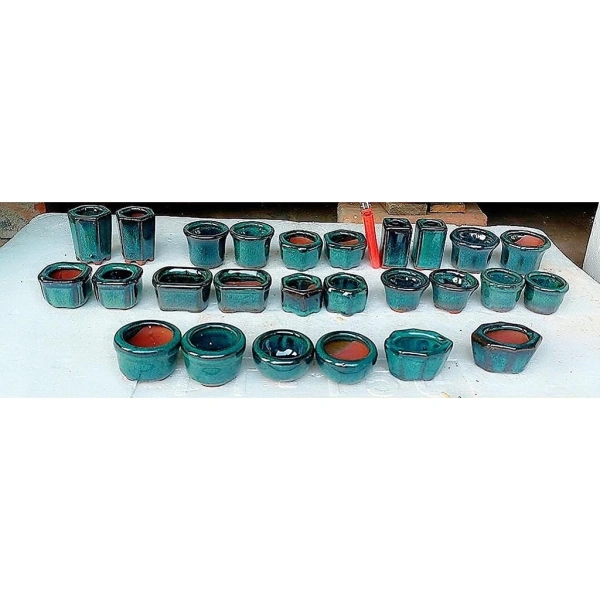 Với chậu siêu mini, lượng nước cần cung cấp rất hạn chế. (Ảnh 3) Với chậu siêu mini, lượng nước cần cung cấp rất hạn chế. (Ảnh 3)