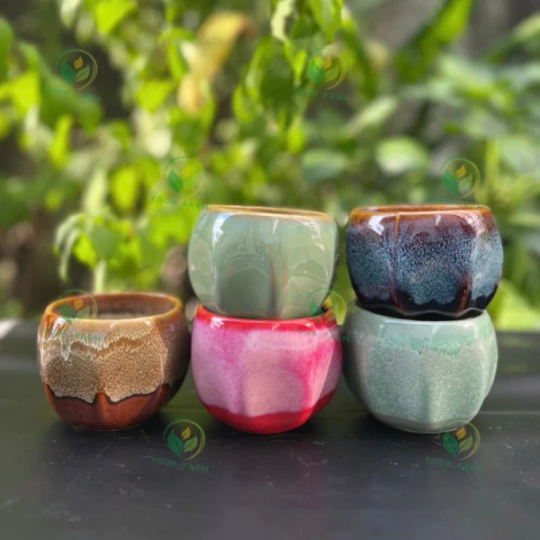 Chất liệu của khay không chỉ ảnh hưởng tới độ bền mà còn quyết định mức độ thoáng khí của môi trường. (Ảnh 3)