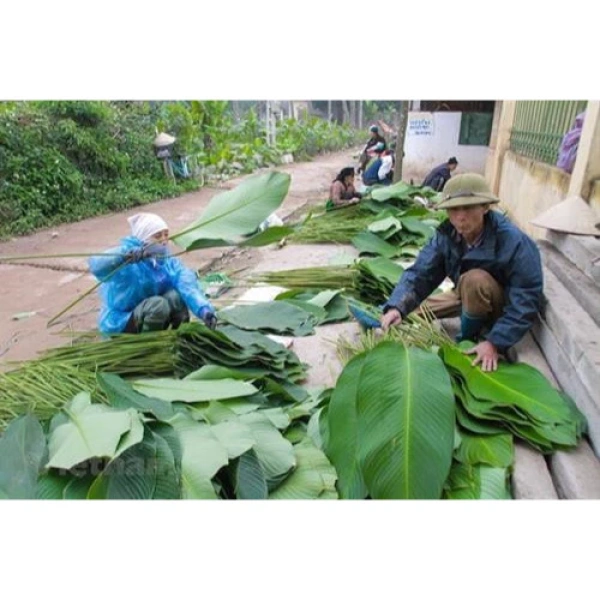 Ngâm lá trong nước sạch khoảng 10‑15 phút là bước quan trọng giúp loại bỏ cặn bẩn và tăng độ ẩm, đồng thời giúp lá mềm dẻo hơn. (Ảnh 3)