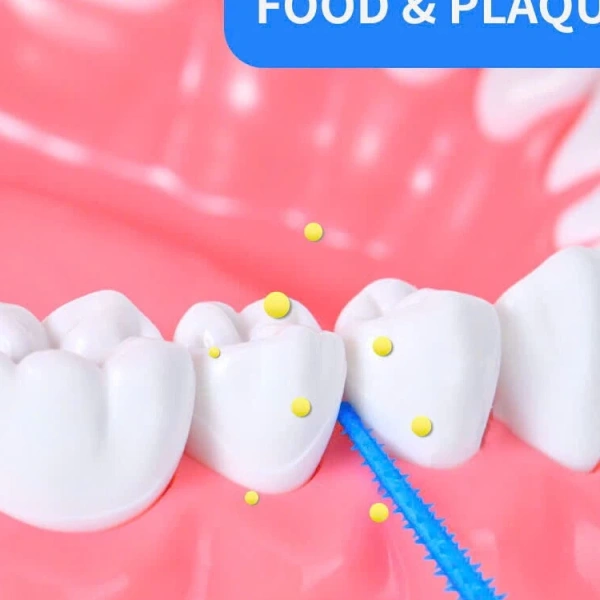 Những lý do khiến người dùng chuyển sang tăm xỉa răng mềm để tránh cảm giác đau rát mỗi sáng - Ảnh 1 Những lý do khiến người dùng chuyển sang tăm xỉa răng mềm để tránh cảm giác đau rát mỗi sáng - Ảnh 1