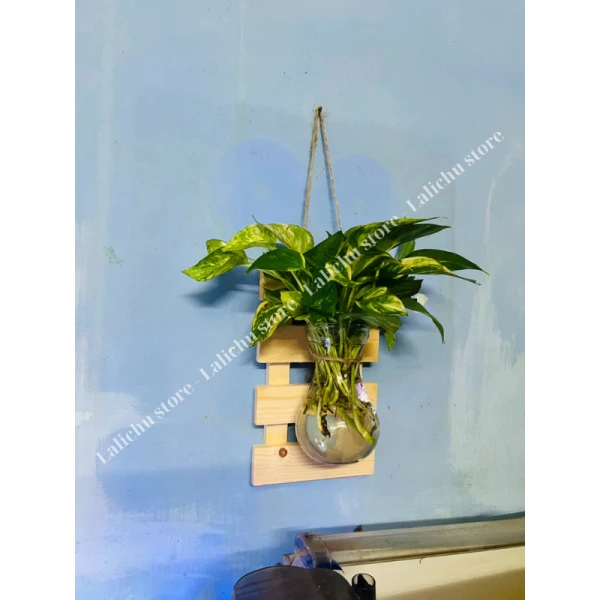Sắp xếp kệ gỗ treo tường và lọ hoa trong căn hộ nhỏ có thực sự tiết kiệm không gian? - Ảnh 1 Sắp xếp kệ gỗ treo tường và lọ hoa trong căn hộ nhỏ có thực sự tiết kiệm không gian? - Ảnh 1