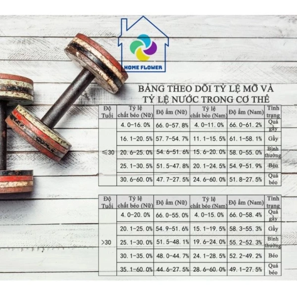 Đối với người mới bắt đầu quan tâm tới việc tự đo chỉ số cơ thể tại nhà, việc lựa chọn loại cân phù hợp là một quyết định quan trọng. (Ảnh 4)