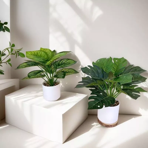 Đối với nhiều người, cảm giác “được ôm” bởi một màu xanh tự nhiên có thể giảm đáng kể cảm xúc mệt mỏi. (Ảnh 4) Đối với nhiều người, cảm giác “được ôm” bởi một màu xanh tự nhiên có thể giảm đáng kể cảm xúc mệt mỏi. (Ảnh 4)