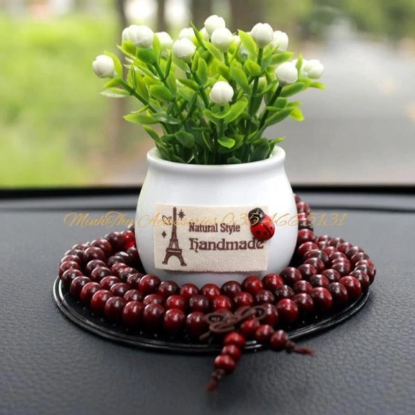Đối với người thích trang trí xe, việc chọn mẫu chậu cây mini cần dựa trên tiêu chí thực tiễn hơn là chỉ vẻ đẹp bên ngoài. (Ảnh 4) Đối với người thích trang trí xe, việc chọn mẫu chậu cây mini cần dựa trên tiêu chí thực tiễn hơn là chỉ vẻ đẹp bên ngoài. (Ảnh 4)