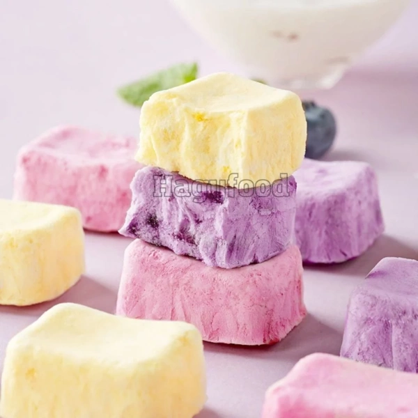 Probiotic trong sữa chua sấy khá bền vững, nhưng vẫn có thể giảm dần nếu để ở môi trường ẩm ướt. (Ảnh 5) Probiotic trong sữa chua sấy khá bền vững, nhưng vẫn có thể giảm dần nếu để ở môi trường ẩm ướt. (Ảnh 5)