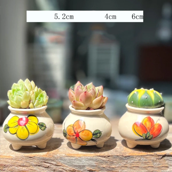 Đất trong chậu gốm mini thường bị nén chặt hơn so với chậu nhựa hoặc terracotta có lỗ thoát. (Ảnh 2) Đất trong chậu gốm mini thường bị nén chặt hơn so với chậu nhựa hoặc terracotta có lỗ thoát. (Ảnh 2)