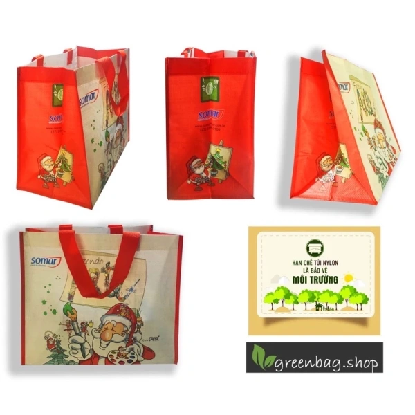Thấy túi môi trường bền hơn là suy đoán, nhưng thực tế chỉ chịu được vài chuyến mua sắm dài - Ảnh 1