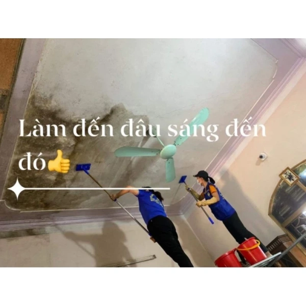 Không phải mọi bình tẩy mốc đều mang lại kết quả giống nhau. (Ảnh 2) Không phải mọi bình tẩy mốc đều mang lại kết quả giống nhau. (Ảnh 2)