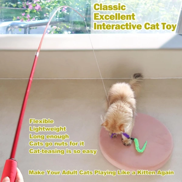 Mèo là loài động vật có tính cách độc lập và luôn tìm kiếm những điểm cao, ẩn nấp để quan sát môi trường xung quanh. (Ảnh 2)