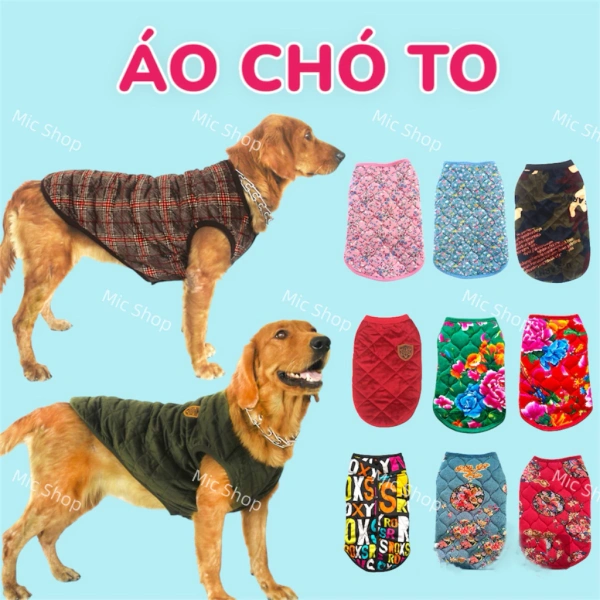 Áo khoác ấm cho chó lớn mang lại sự ấm áp nhưng bất ngờ gây cản trở khi chúng di chuyển trên phố.