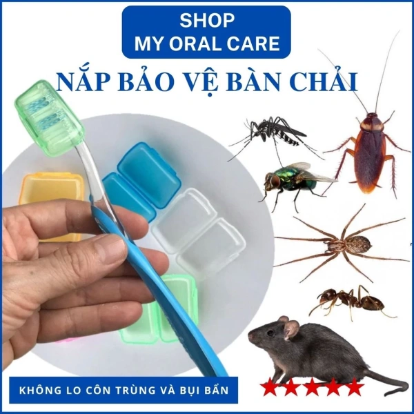 Bảo vệ đầu bàn chải khi bỏ trong túi: chi tiết nhỏ dễ bị bỏ qua nhưng lại gây rắc rối sau khi mở ra
