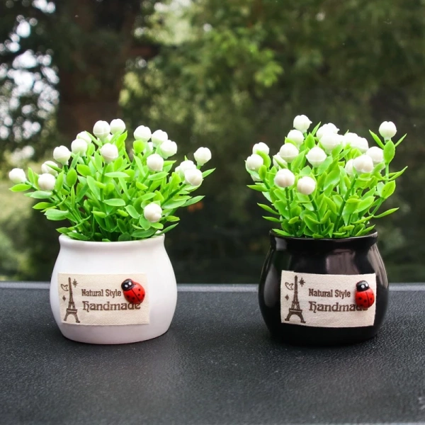 Bất ngờ khi một chậu cây mini trên bảng điều khiển ô tô biến góc làm việc thành nơi thư giãn