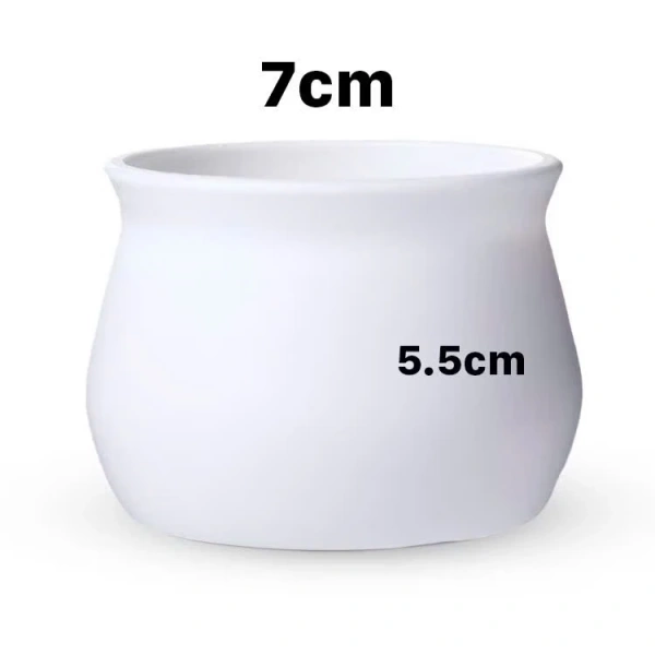 Chậu mini handmade với sắn xốp và rêu trên bàn làm việc thường giữ độ ẩm tốt hơn mong đợi, tạo không gian xanh lâu dài