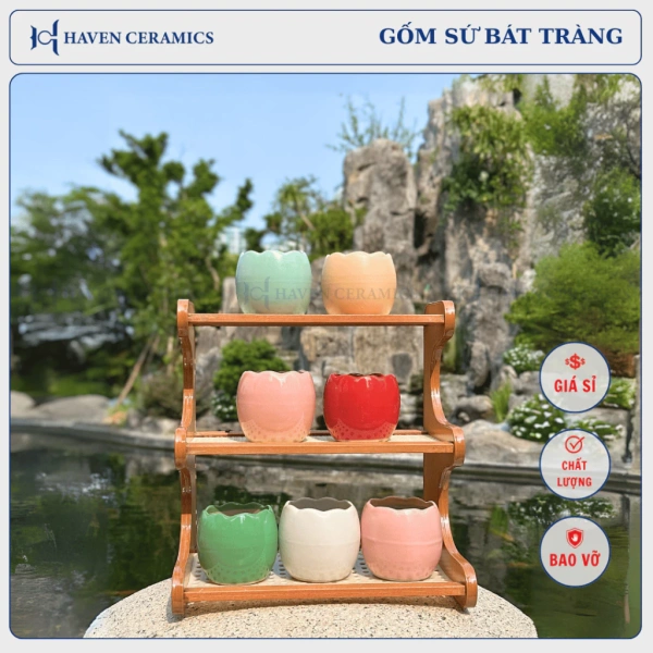 Chiếc chậu sứ mini để bàn, miệng 8 cm: khi nhỏ gọn lại mang lại bất ngờ cho không gian sống