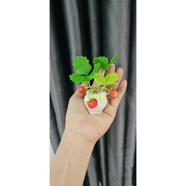 Chiều cao 12 cm của chậu đất sét mini là chi tiết mà người trồng dâu tây thường bỏ qua