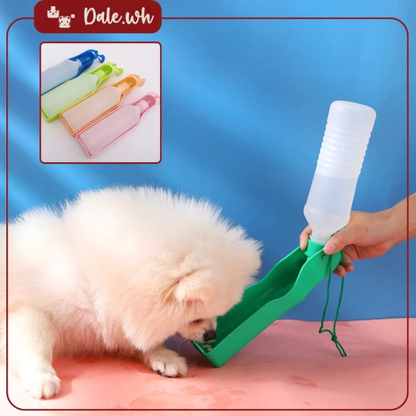 Dù đã chuẩn bị bình nước du lịch đa năng cho chó, nhưng lúc bước vào bãi cát vẫn gặp khó khăn bất ngờ.