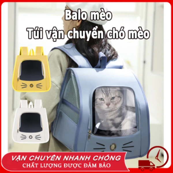 Giờ mới hiểu tại sao chiếc balô vận chuyển thú cưng siêu thoáng khí lại là yếu tố quyết định cho chuyến du lịch gia đình