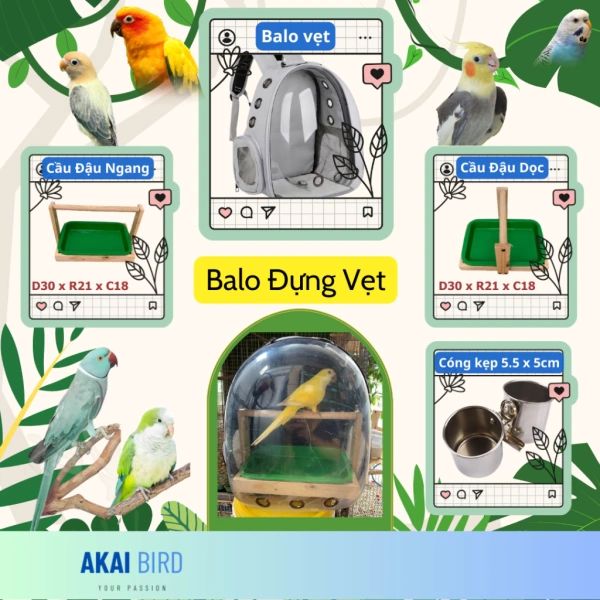 Khi balô chứa vẹt hứa hẹn tiện lợi, chuyến du lịch thực tế lại bật mí những bất ngờ chưa ngờ