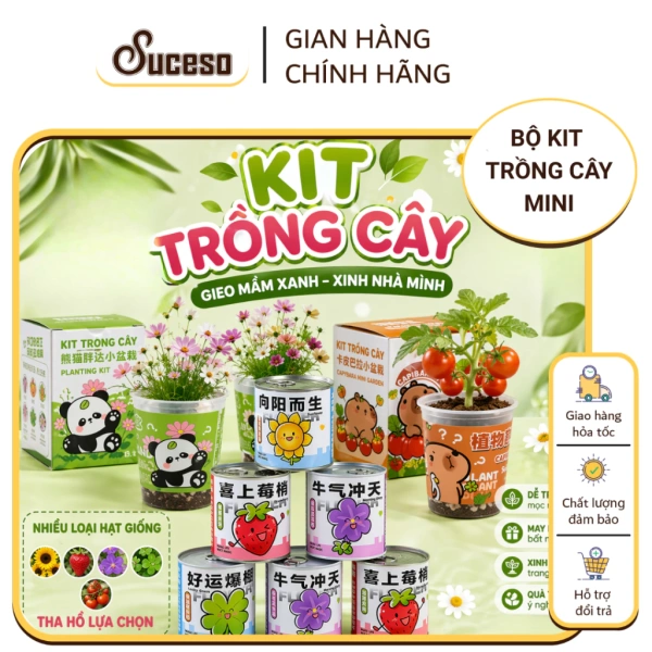 Khi bé chăm sóc bộ kit cây mini, cha mẹ chỉ nhận ra rằng độ ẩm đất quan trọng hơn vẻ đẹp của lá xanh.