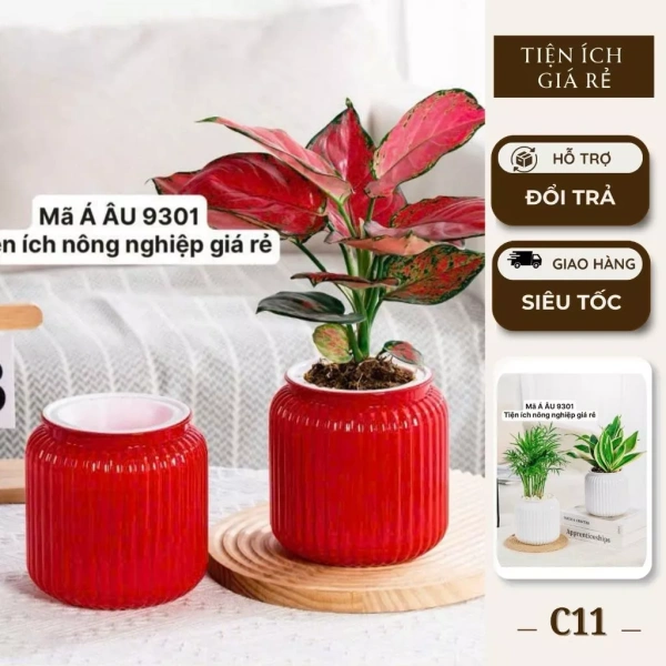 Khi chậu thủy sinh mini trên bàn làm việc bị bỏ qua khoảng không gian đáy, cây cảnh lại thường héo úa sớm hơn dự đoán