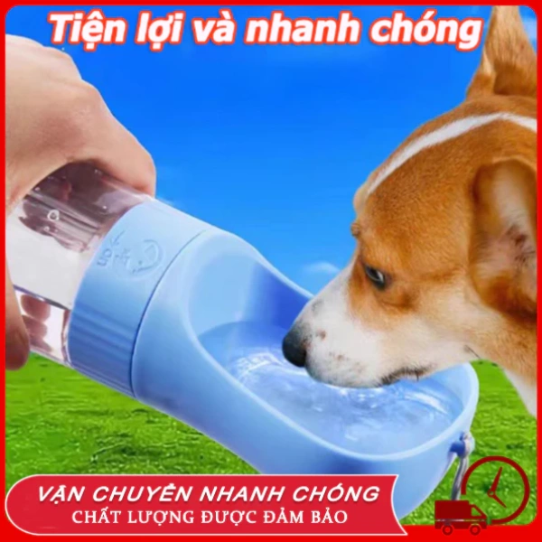Một chuyến dã ngoại kéo dài làm lộ khuyết điểm ít người nói về bình nước chó đa năng có ngăn thực phẩm