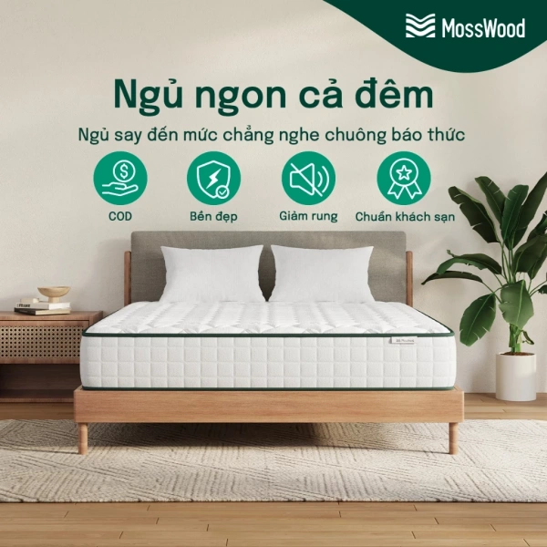 Nệm lò xo túi độc lập 20 cm có thực sự giảm tiếng ồn và hỗ trợ cột sống như kỳ vọng?