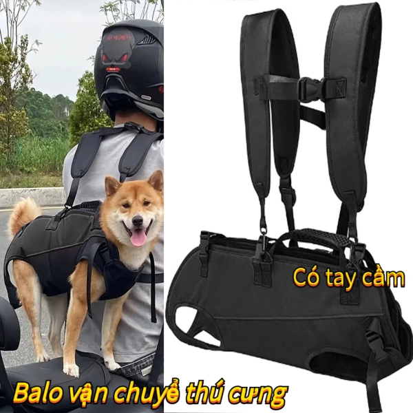 Những bất ngờ khi ba lô chó đa chức năng trở thành chiếc túi dự phòng duy nhất trong chuyến du lịch dài