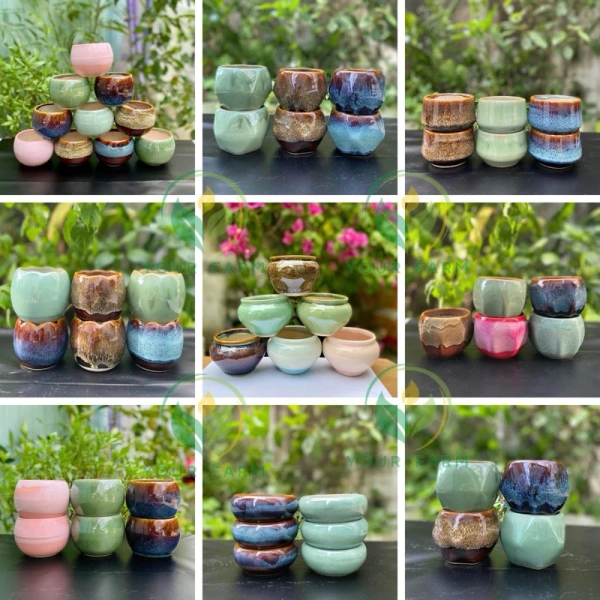 Những chi tiết nhỏ trong khay mini trồng nấm mà hầu hết người mới bắt đầu thường bỏ qua