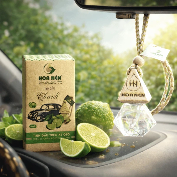 Xe hơi là một không gian kín, nhưng đồng thời cũng là “lò nướng” di động với những biến động nhiệt độ, độ ẩm và luồng không khí. (Ảnh 2) Xe hơi là một không gian kín, nhưng đồng thời cũng là “lò nướng” di động với những biến động nhiệt độ, độ ẩm và luồng không khí. (Ảnh 2)