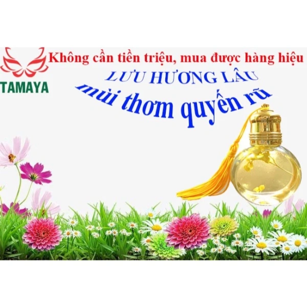 Tinh dầu được chiết xuất từ các nguyên liệu thiên nhiên như hoa, lá, rễ, vỏ cây. (Ảnh 2) Tinh dầu được chiết xuất từ các nguyên liệu thiên nhiên như hoa, lá, rễ, vỏ cây. (Ảnh 2)