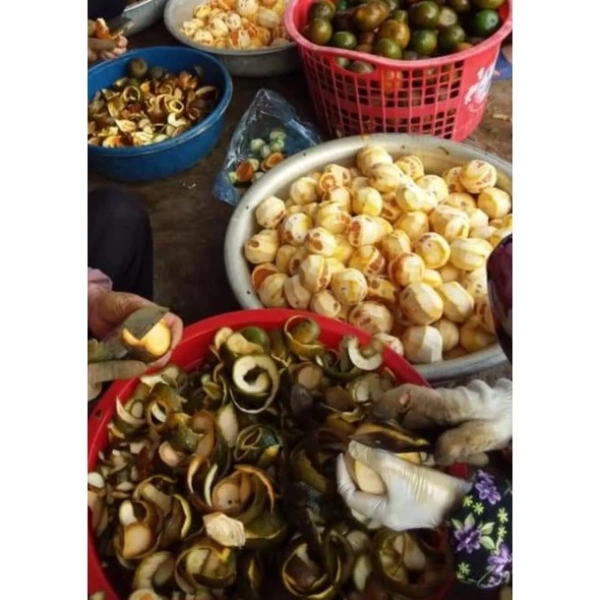 Tinh dầu vỏ quýt Mộc Mây được sản xuất tại Mộc Mây Farm, nguồn gốc từ vỏ quýt sạch và không có phụ gia. (Ảnh 4)