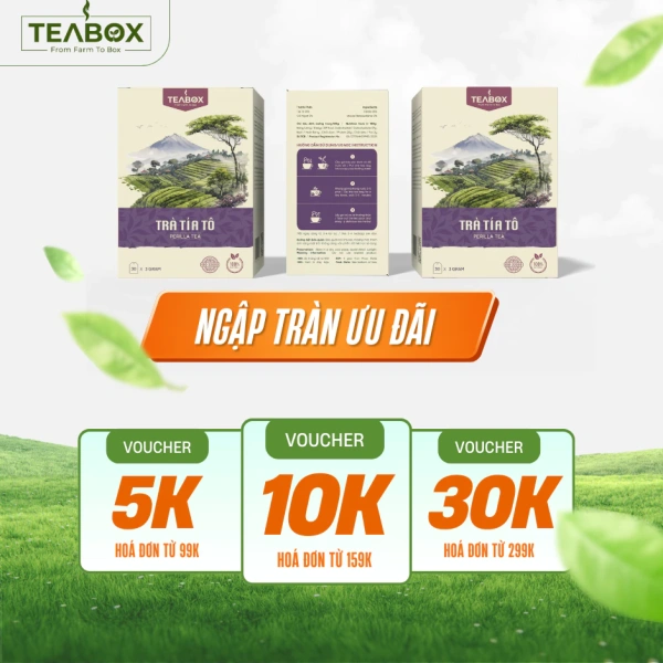 Đối với người mới bắt đầu, việc thiết lập lịch uống trà hợp lý là bước quan trọng. (Ảnh 3)