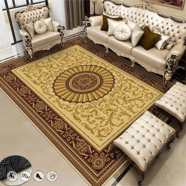 Vẻ sang trọng của thảm trải sàn 2 m x 3 m nhập khẩu trong phòng khách khiến việc bảo quản trở nên khó khăn hơn - Ảnh 1