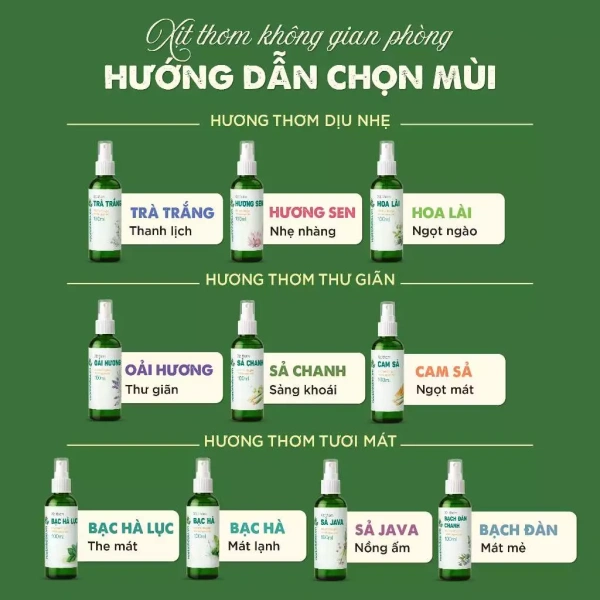 Xịt tinh dầu khử mùi thực sự giảm cảm giác say tàu, hay chỉ là mùi thơm tạm thời? - Ảnh 5