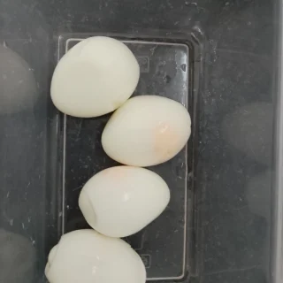 Bước 4