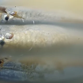 Bước 1