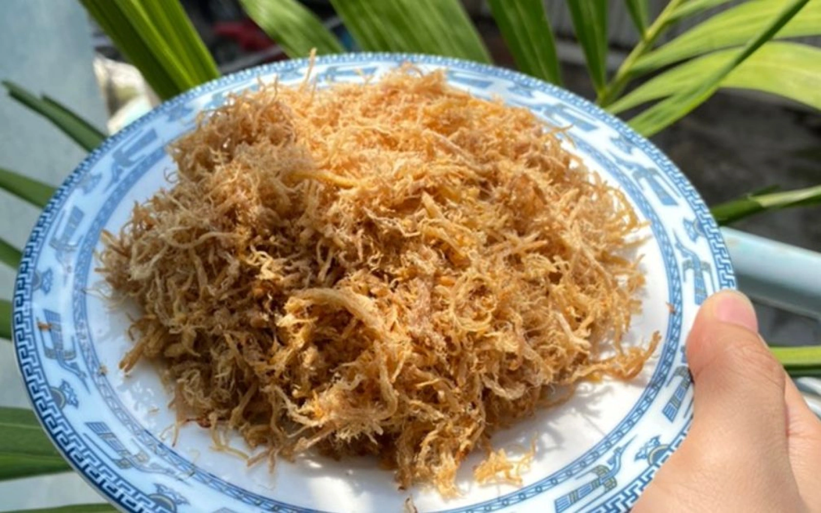 Chà bông heo