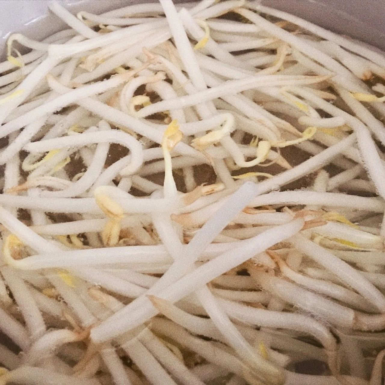 Step 4