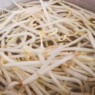 Bước 4