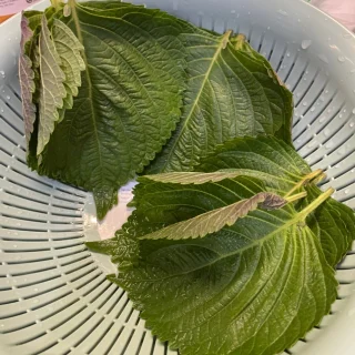 Bước 1
