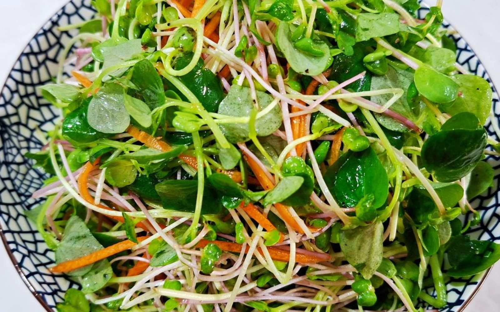 Rau mầm trộn chay