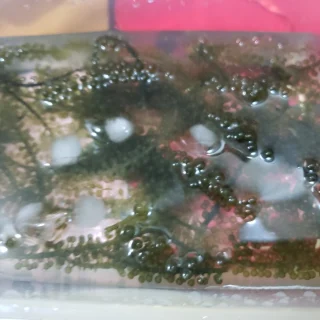 Bước 2
