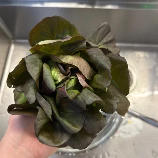 Bước 1